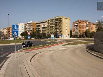 Ma chi appartengono questi animali? Per capirne di pi� abbiamo provato ad avvicinarci. Scendendo il ponte... 